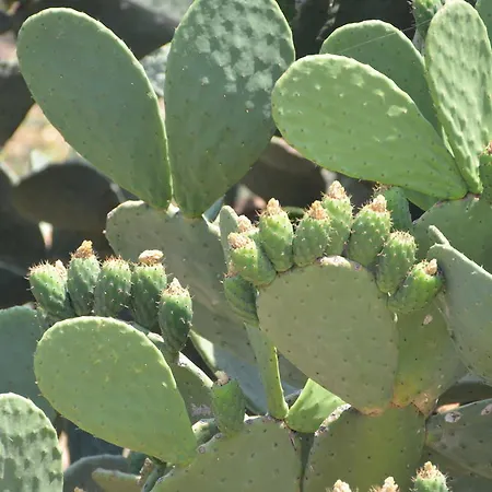 Taormina Bay Lucia's House